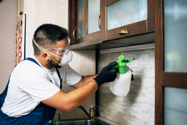 Best Pest Prevention Services  in Fairfax, OH