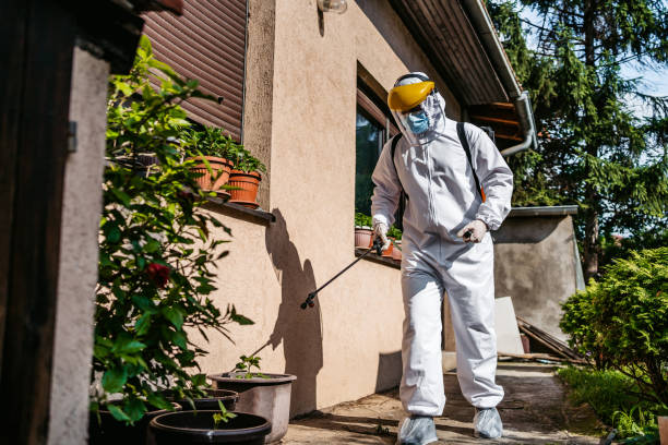 Best Residential Pest Control  in Fairfax, OH