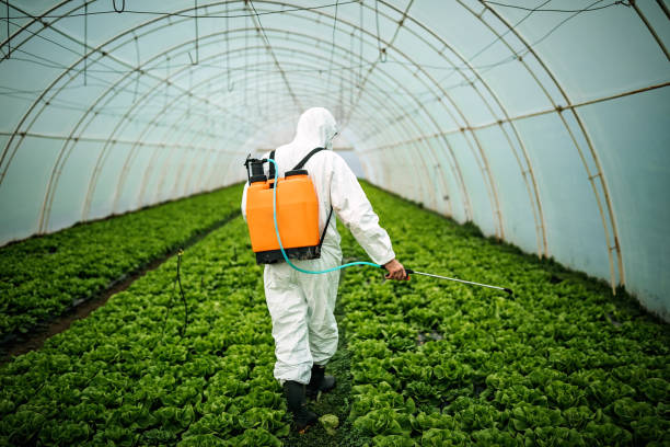 Best Pest Control Near Me  in Fairfax, OH