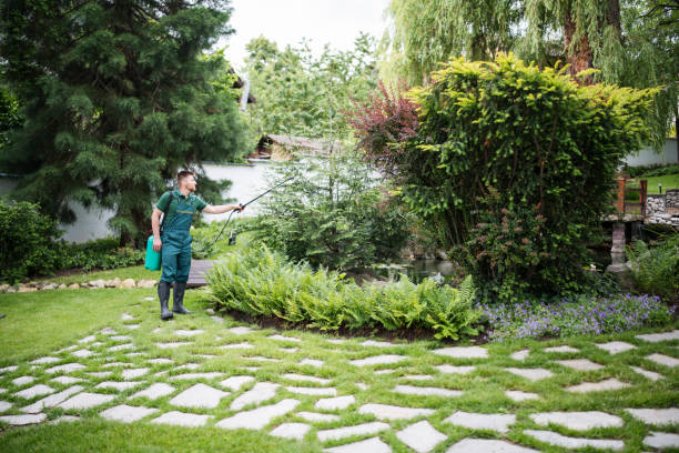 Wildlife Control Services in Fairfax, OH