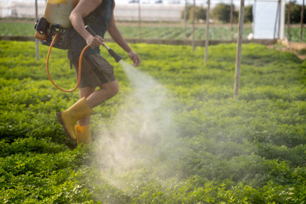 Pest Control Cost in Fairfax, OH