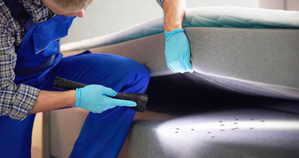 Best Pest Removal Services  in Fairfax, OH