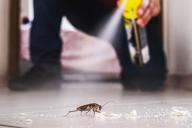 Best Pest Removal Services  in Fairfax, OH