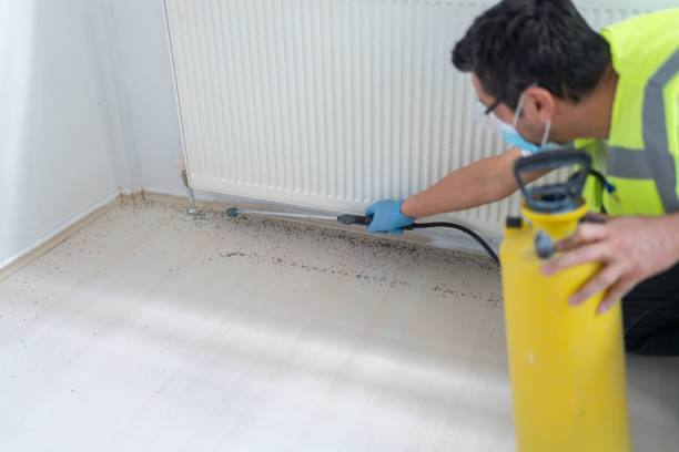 Best Best Pest Control Companies  in Fairfax, OH